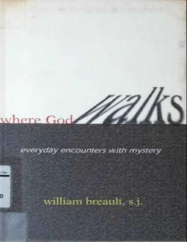 WHERE GOD WALKS: EVERYDAY ENCOUNTERS WITH MYSTERY